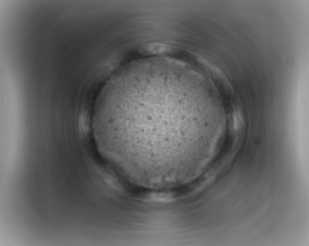 X0000115300606200911091013