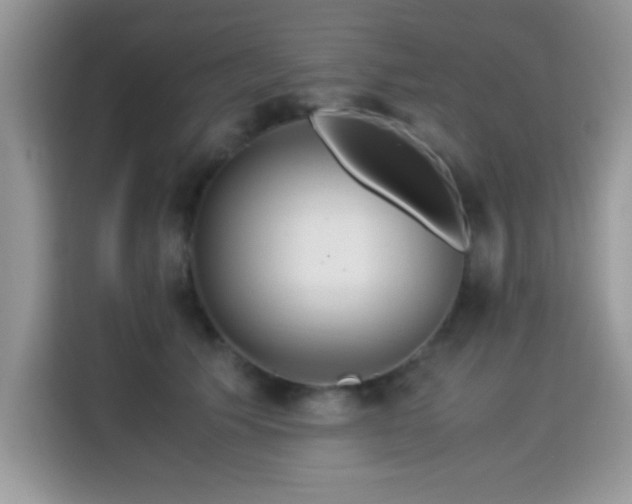 X0000115300609200911091013