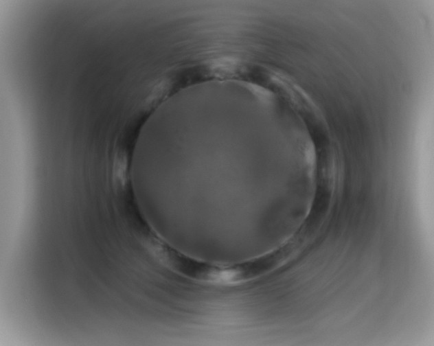 X0000115300610200911091013