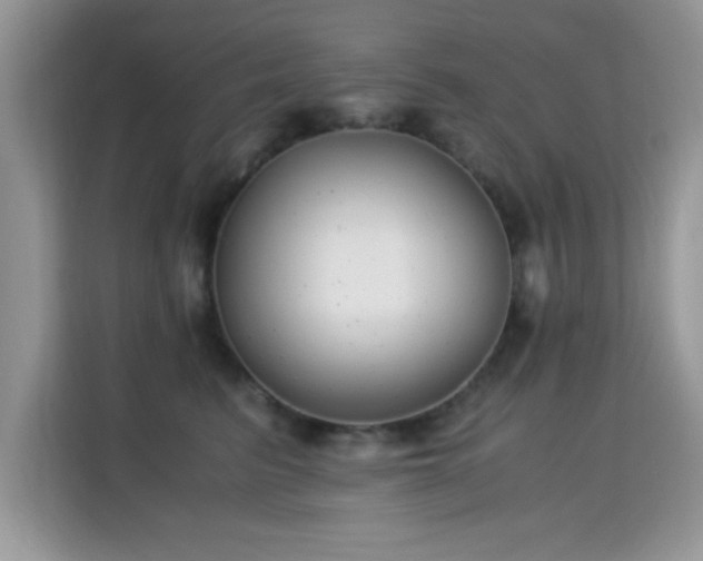 X0000115300615200911091013