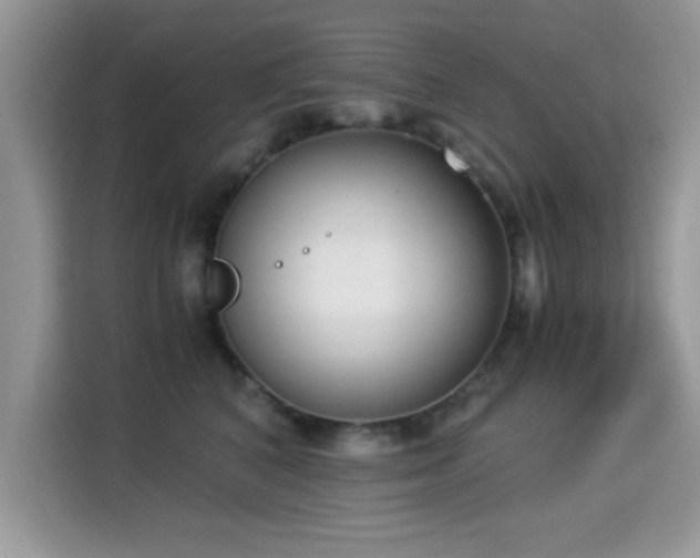 X0000115300616200911091013