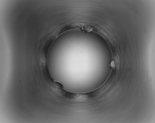 X0000115300617200911091013
