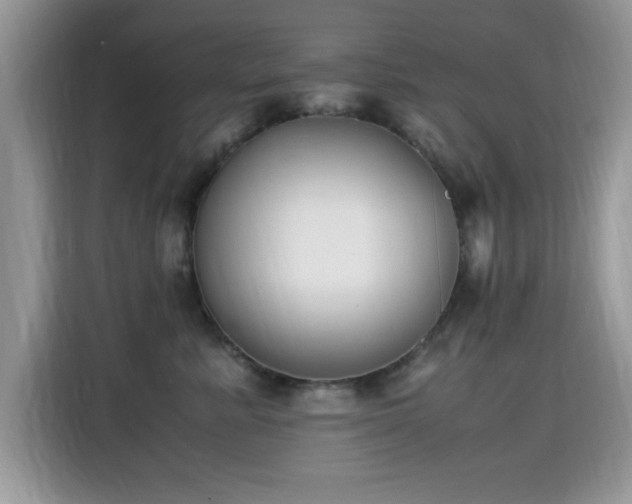 X0000115300619200911091013