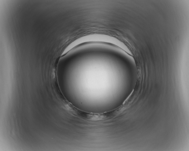 X0000115300621200911091013