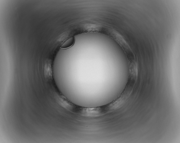 X0000115300622200911091013