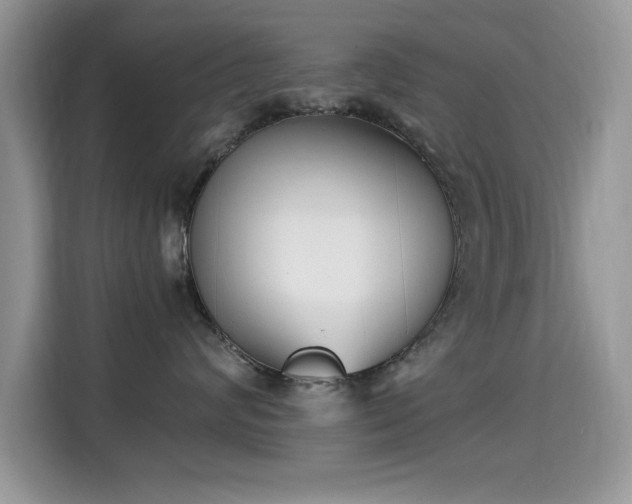 X0000115300624200911091013