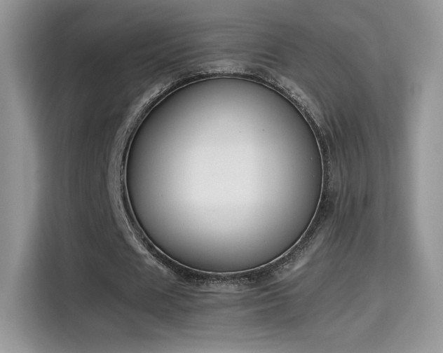 X0000115300625200911091013