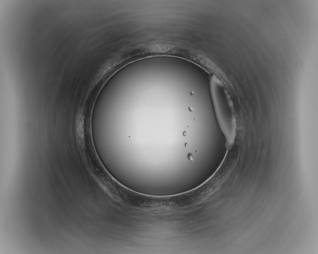 X0000115300626200911091013
