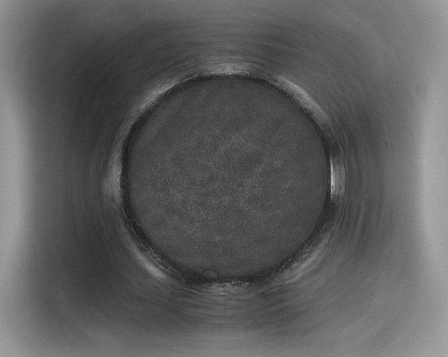 X0000115300627200911091013