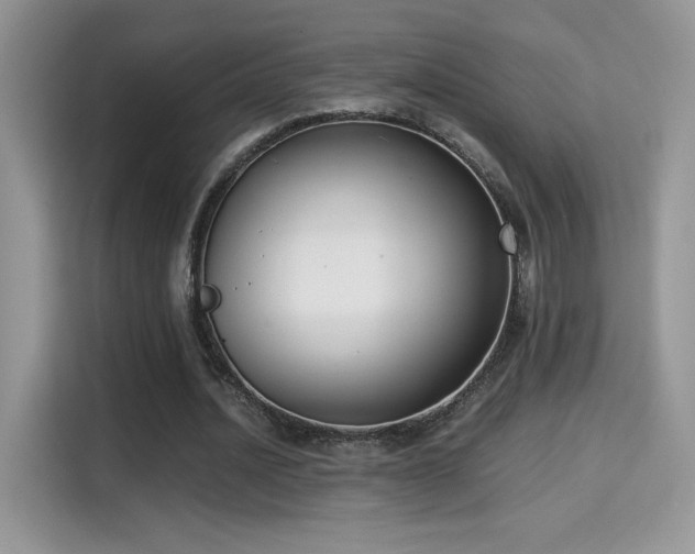 X0000115300628200911091013