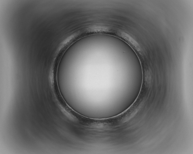 X0000115300629200911091013