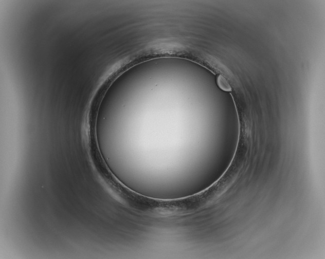X0000115300630200911091013