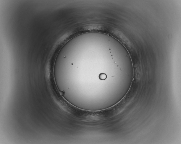 X0000115300631200911091013