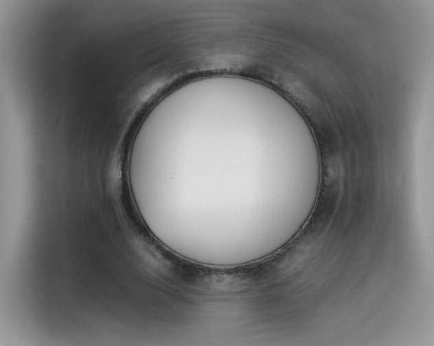 X0000115300632200911091013