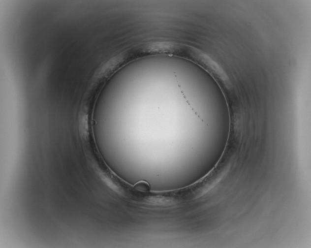 X0000115300633200911091013