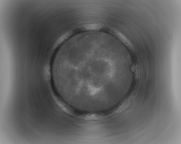 X0000115300634200911091013