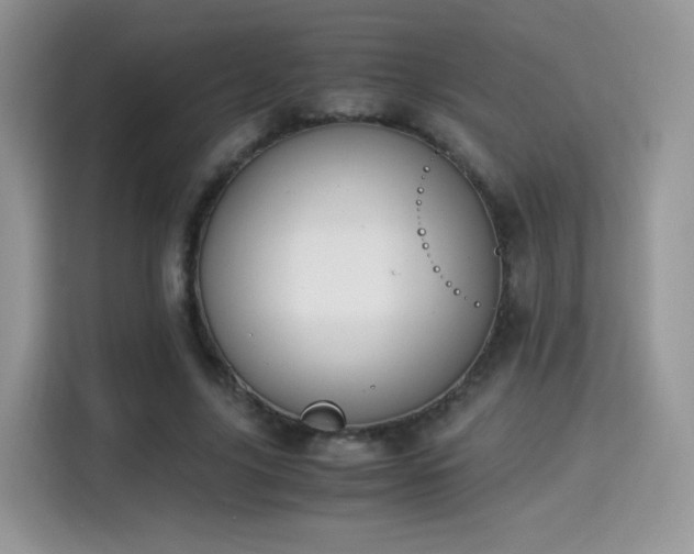 X0000115300635200911091013