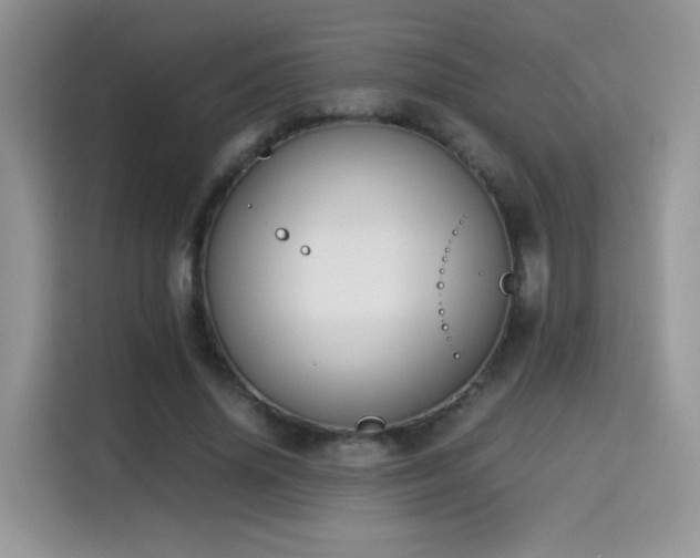 X0000115300636200911091013