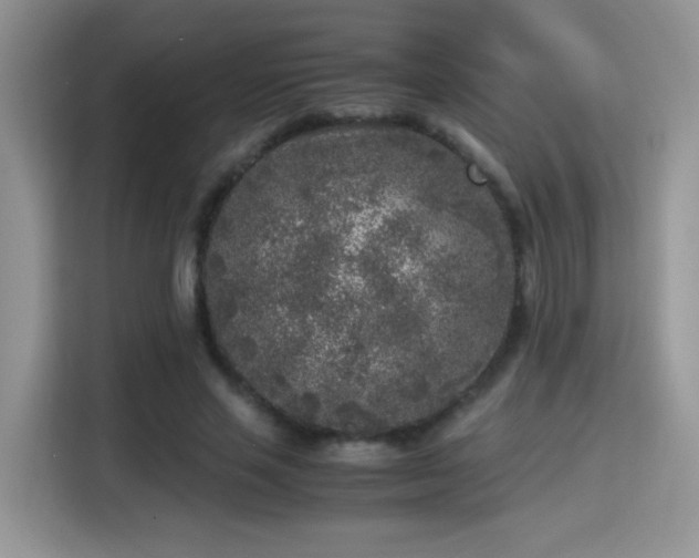 X0000115300637200911091013