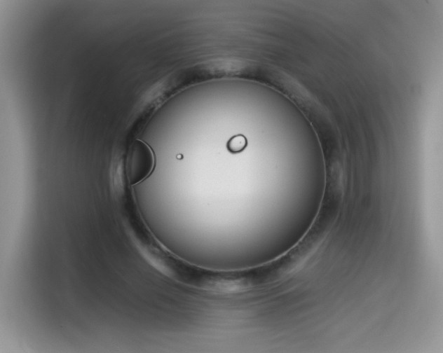 X0000115300638200911091013