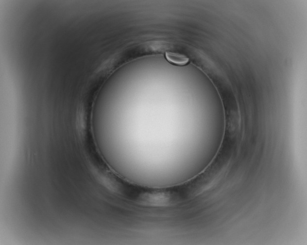 X0000115300639200911091013