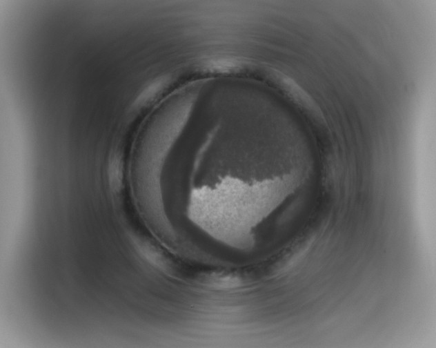 X0000115300640200911091013