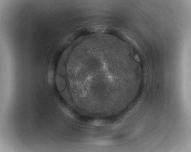 X0000115300641200911091013
