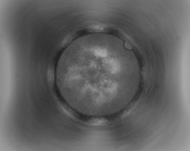 X0000115300642200911091013
