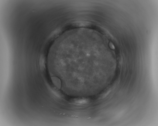 X0000115300643200911091013