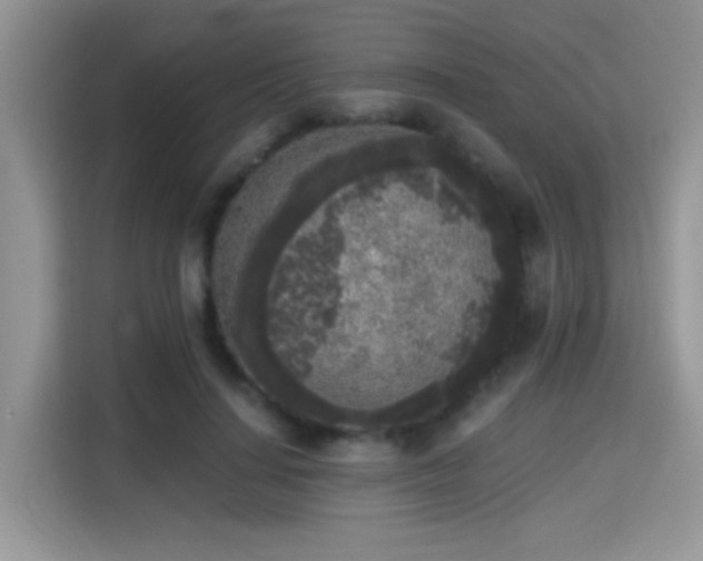 X0000115300644200911091013