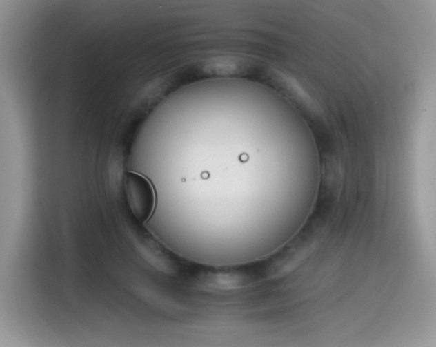 X0000115300645200911091013