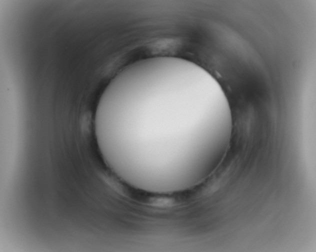 X0000115300649200911091013