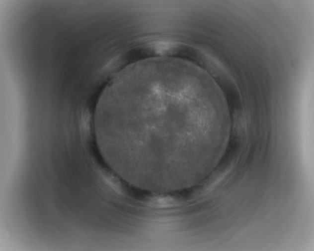 X0000115300650200911091013