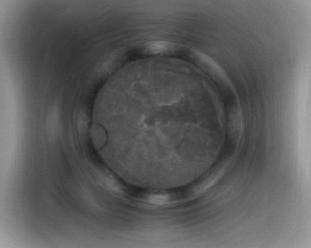 X0000115300653200911091013