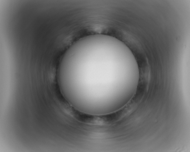 X0000115300656200911091013