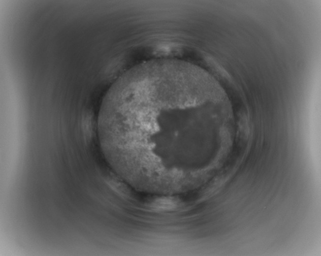 X0000115300659200911091013