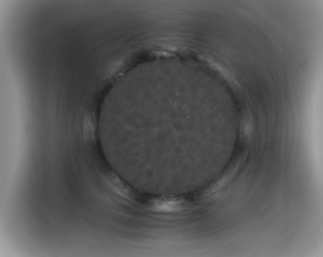 X0000115300661200911091013