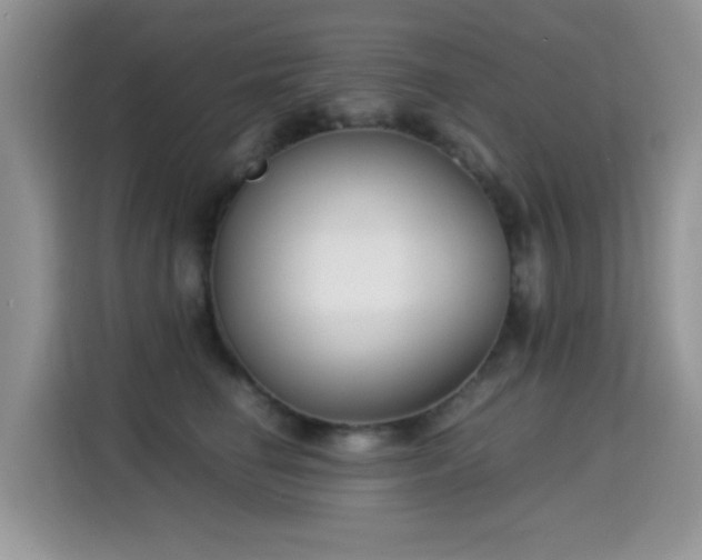 X0000115300662200911091013