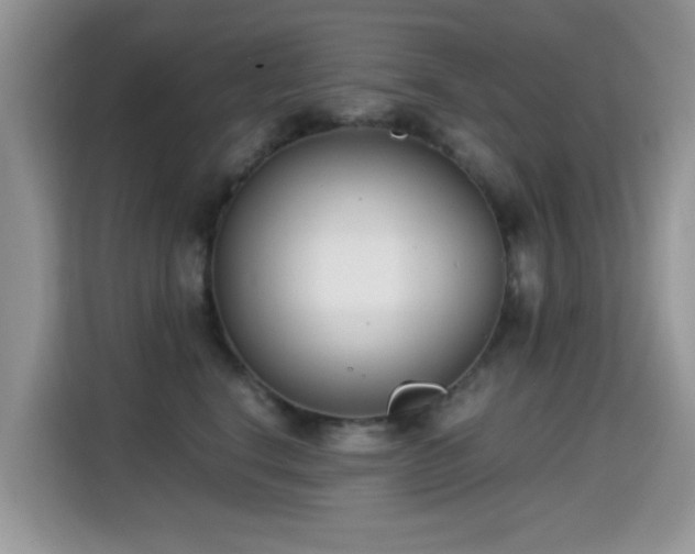 X0000115300664200911091013
