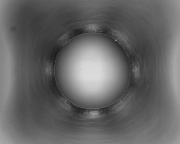 X0000115300665200911091013
