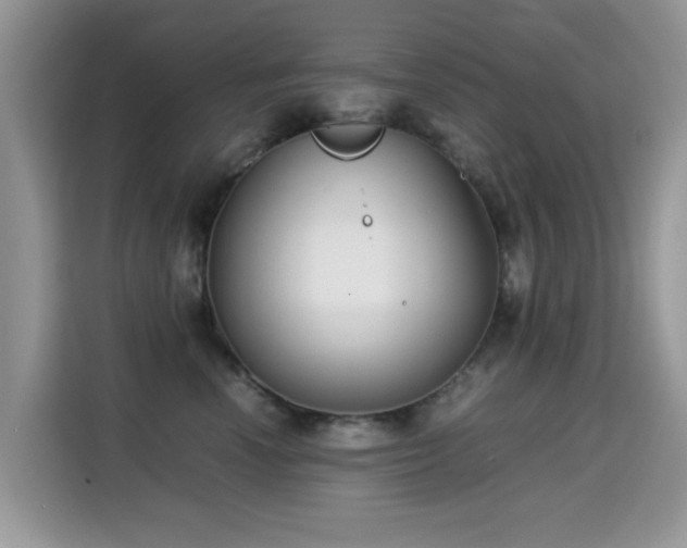 X0000115300666200911091013
