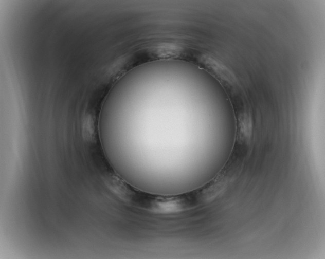 X0000115300667200911091013