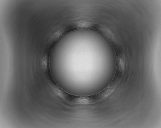 X0000115300668200911091013