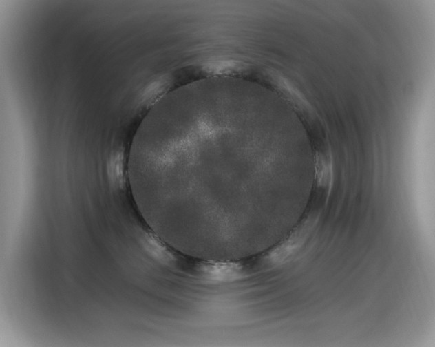X0000115300670200911091013