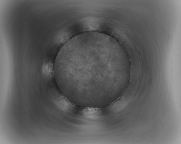 X0000115300672200911091013