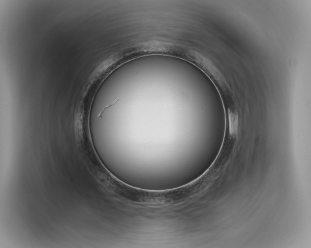 X0000115300675200911091012