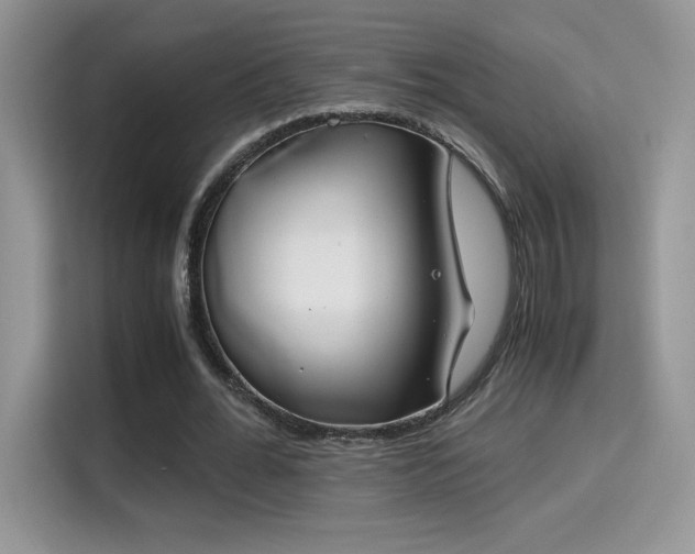 X0000115300676200911091012