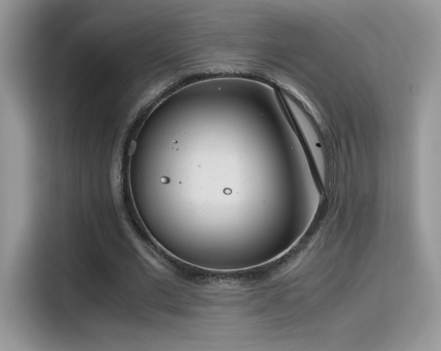 X0000115300677200911091012
