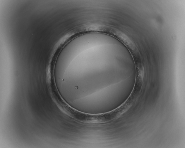 X0000115300678200911091012