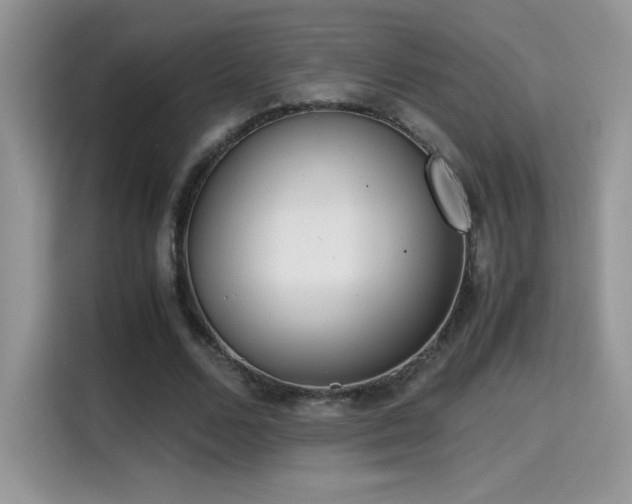 X0000115300680200911091012